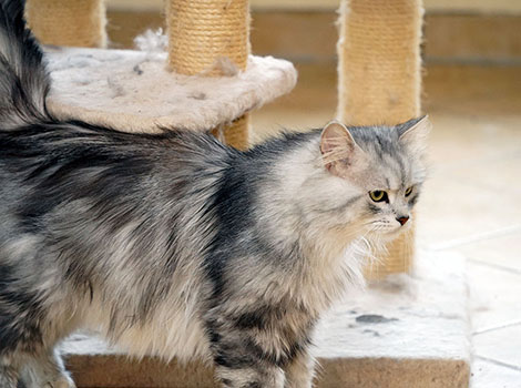 Karlo am 29. Mai 2025